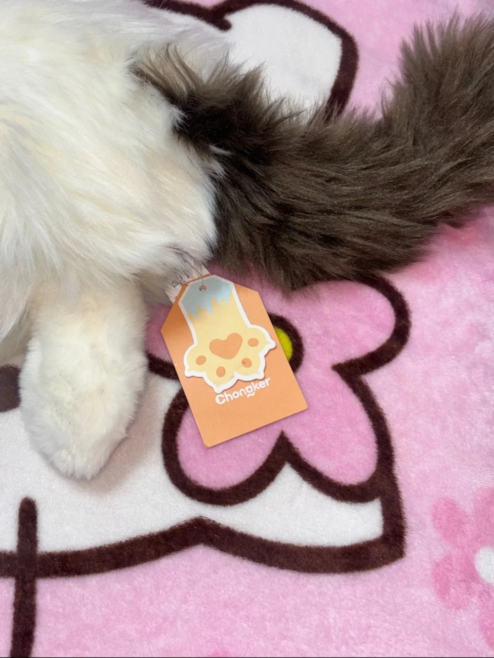 NEW Chongker life like cat plush,makes noise just like a real cat,purrs and more